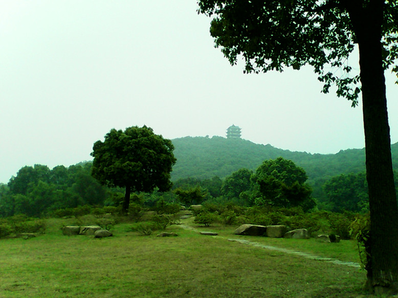 225144qq66q1am7q3iy1y1 - ����.jpg