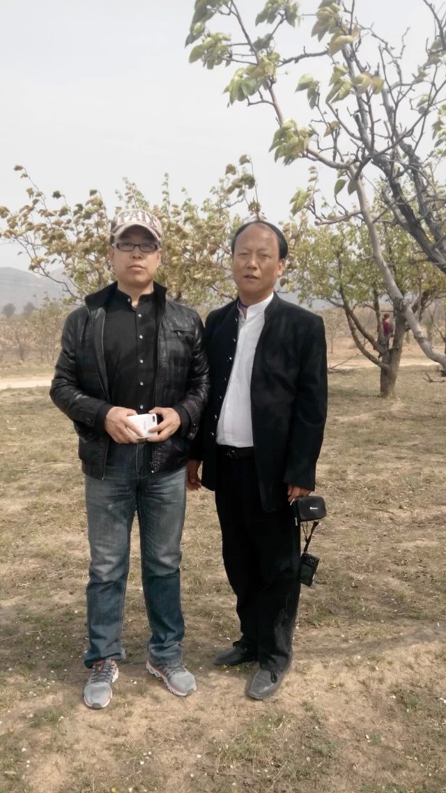 ����ΰ��������