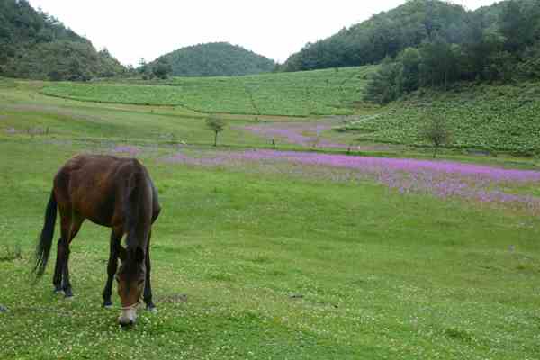 ��Ƭ 122_����.jpg���.jpg