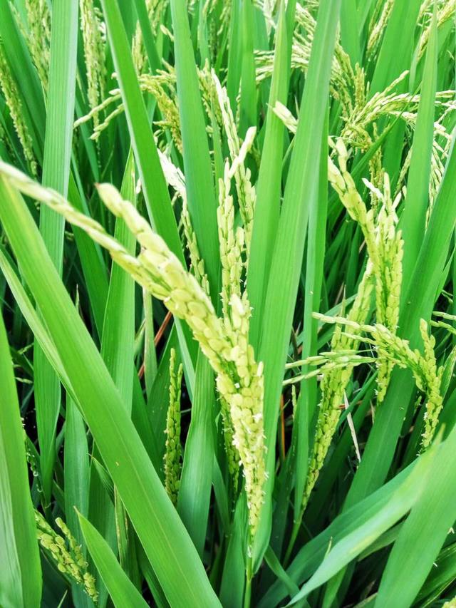 PogicDMRRg3KvKp0j 9fQzL-zuI=.jpg