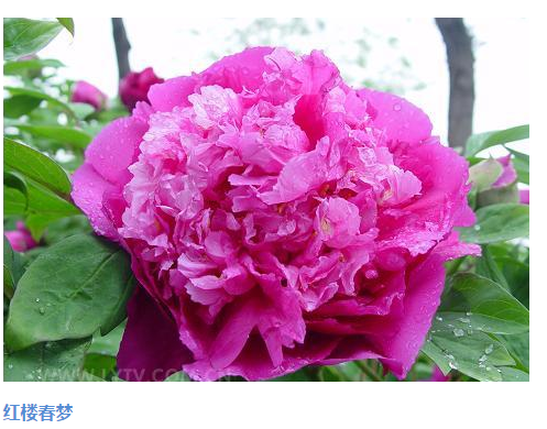 QQ��ͼ20170425235324 - ����.png