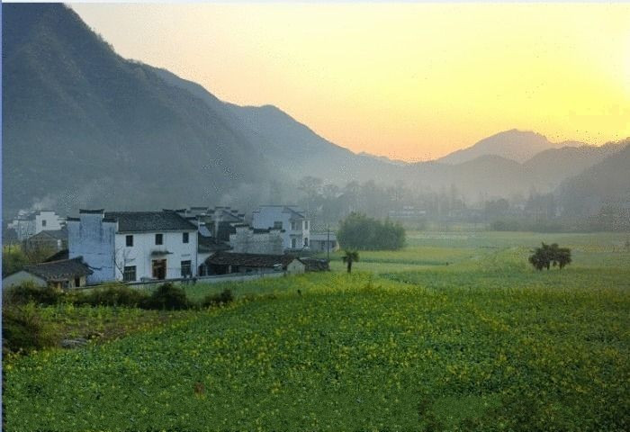 679199118804721265 (1).jpg