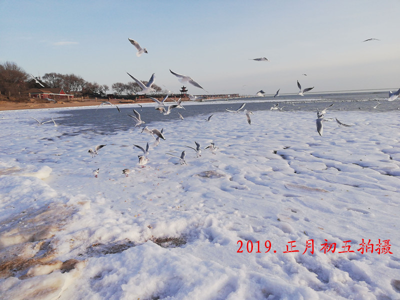 Ÿ�������1��