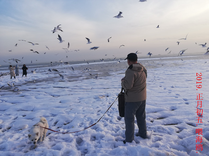 Ÿ�������2��