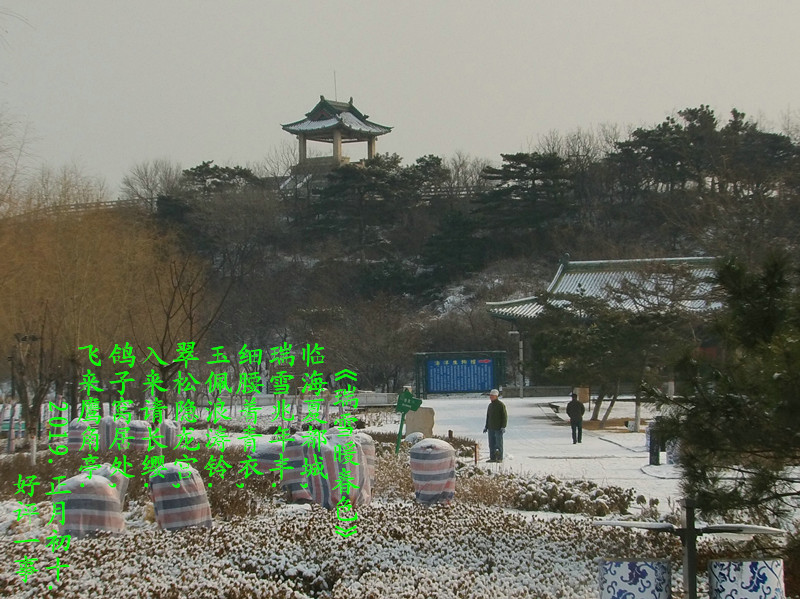 ����ԭ�ı���ͼ