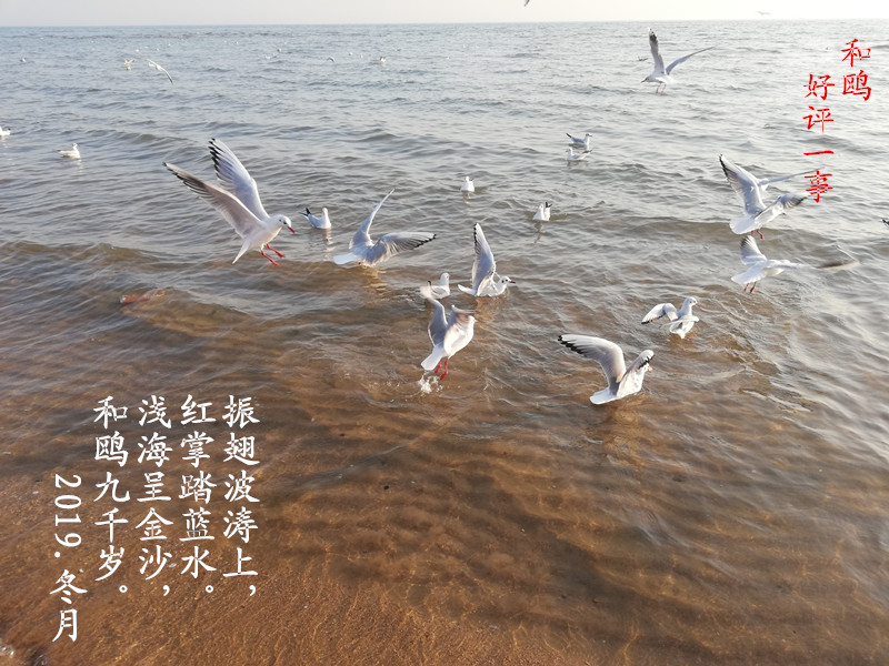 IMG_2019���� ��Ÿ_����.jpg