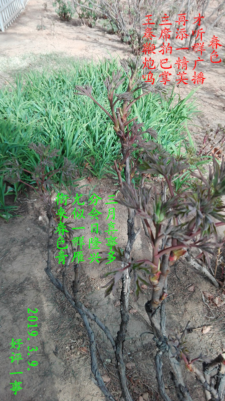 ��ɫ 1_����.jpg