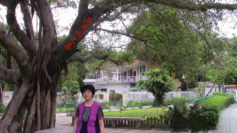 ������֮��.һ��һ·��Ӱ.