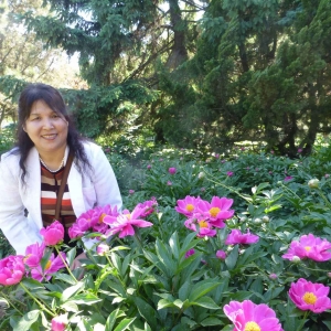 פվ���ҡ����ź���