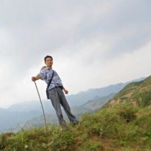 פվ���ҡ��� �ѹ�ţ