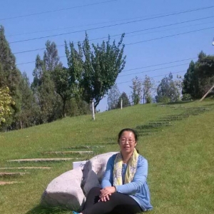 פվ���ҡ���������