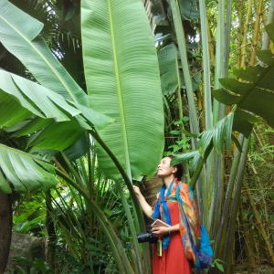 ʫ�˼�Ӱ����������