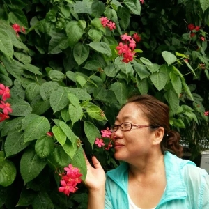 ʫ�˼�Ӱ�������÷