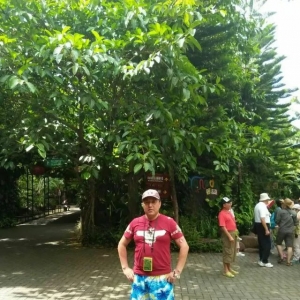 ��ͼ������