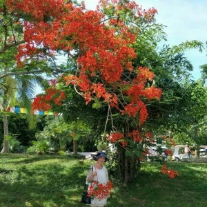 Ŭ����ʲ�������